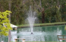 IMG_3976-72dpi