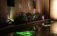 IMG_546872dpi